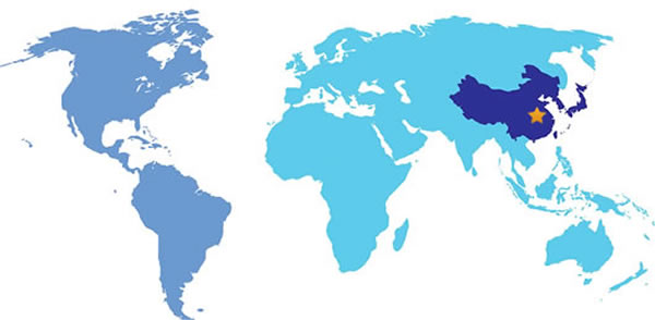 The global market of Wuhan Devoling Technology Co.,Ltd
